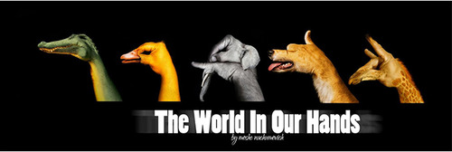 mosheNachumovichPhotography Blog Post Image 2 צלם השבוע משה מוזס mosheNachumovichPhotography Blog Post Image 2 צלם השבוע משה מוזס