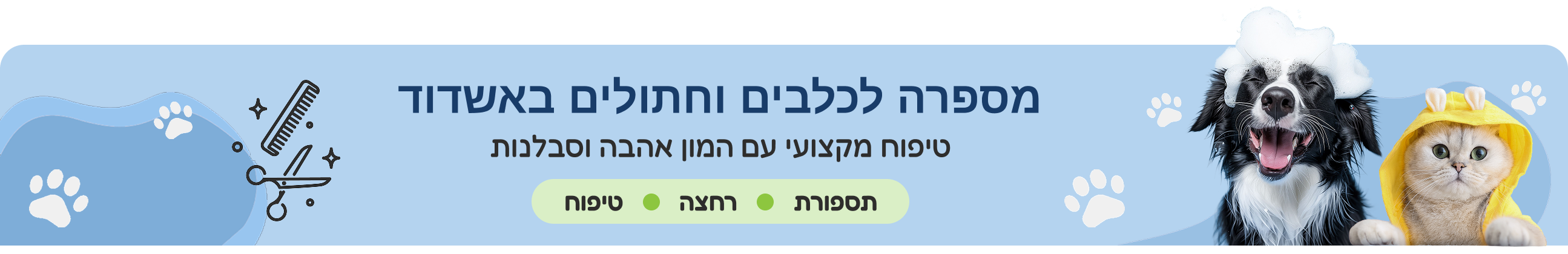 מספרה לכלבים וחתולים באשדוד – טיפוח מקצועי,תספורות,רחצה וטיפוח לחיות מחמד באנימל פלאנט