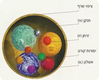 תמונה