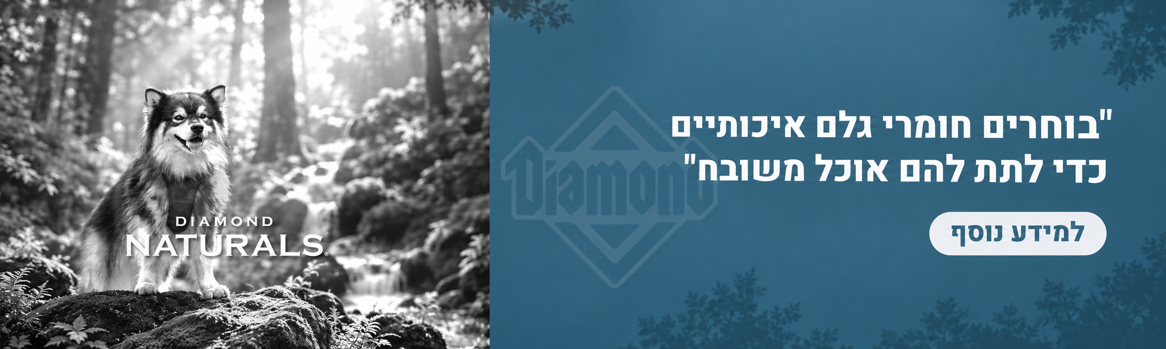 דיאמונד נטורלס