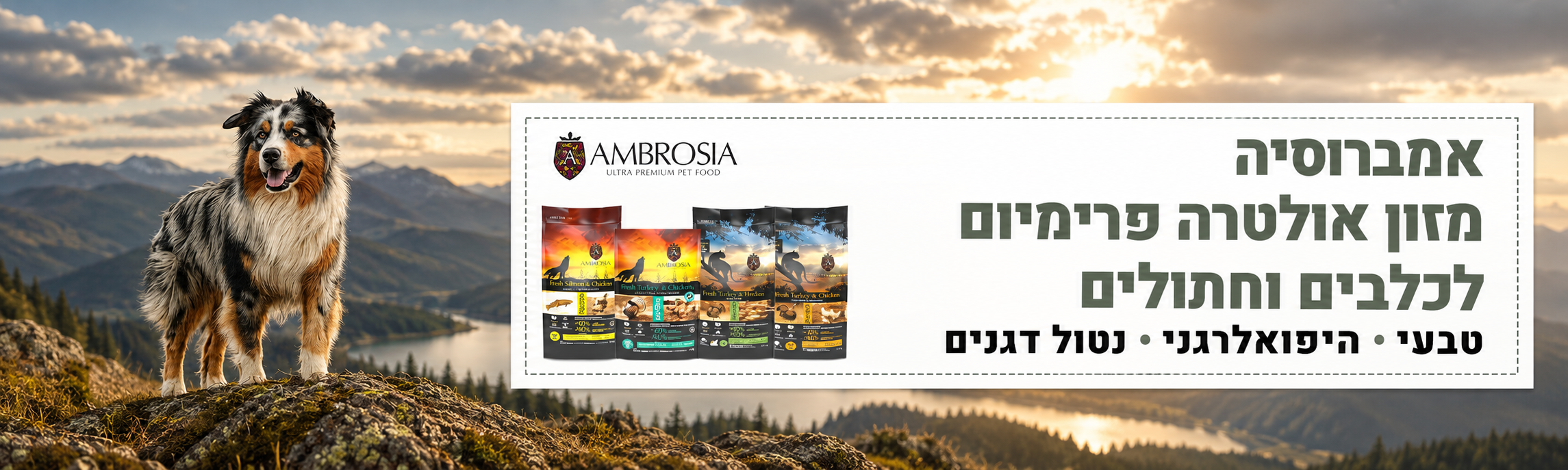 אמברוסיה לכלב