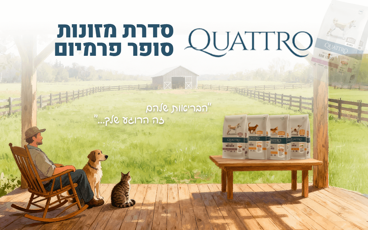 QUATTRO