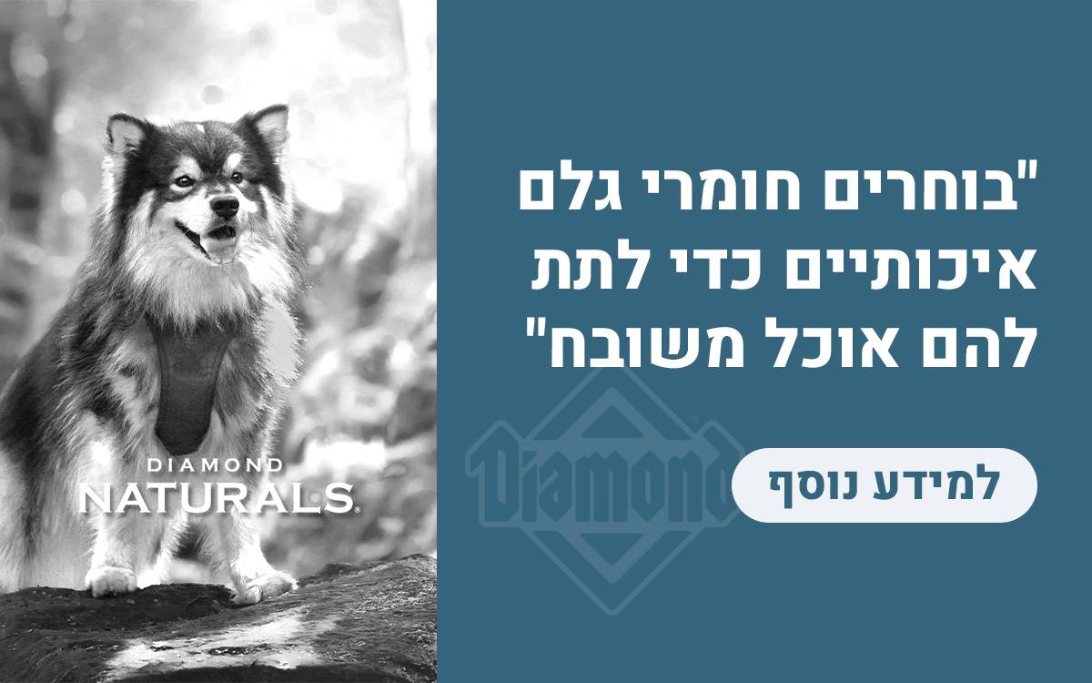 דיאמונד נטורלס