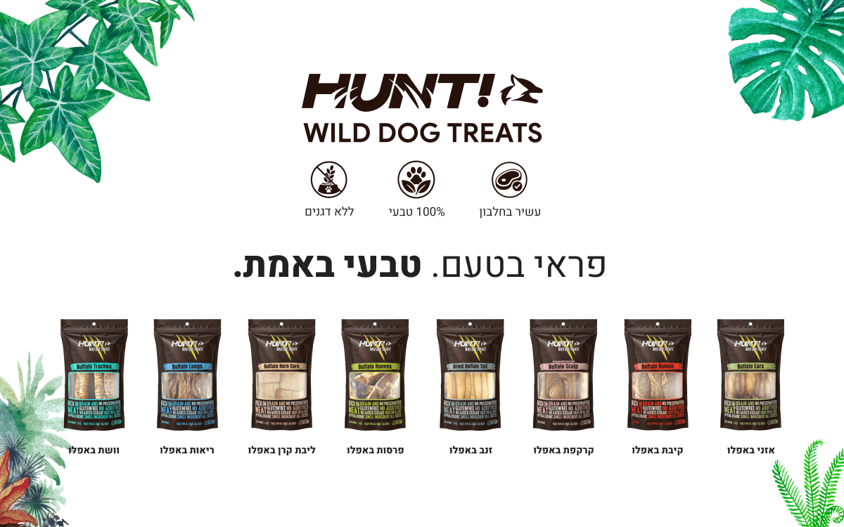 חטיפי האנט,חטיף HUNT