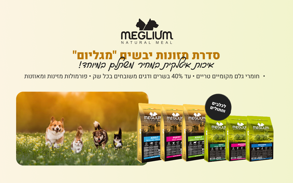 מגליום
