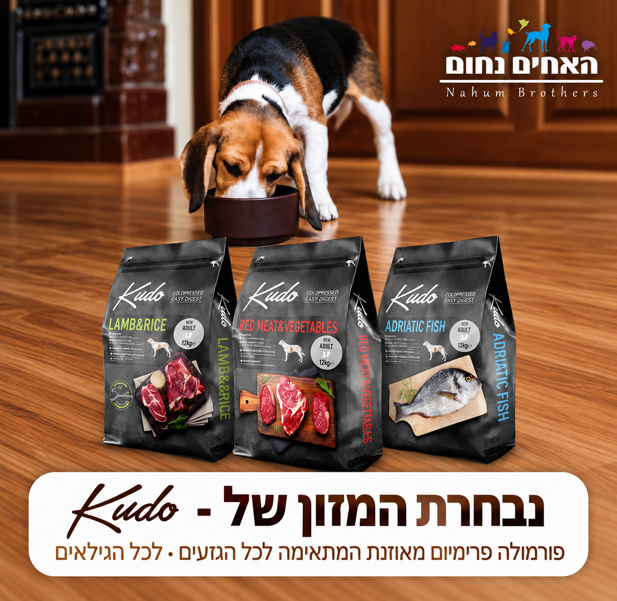 קודו kudo