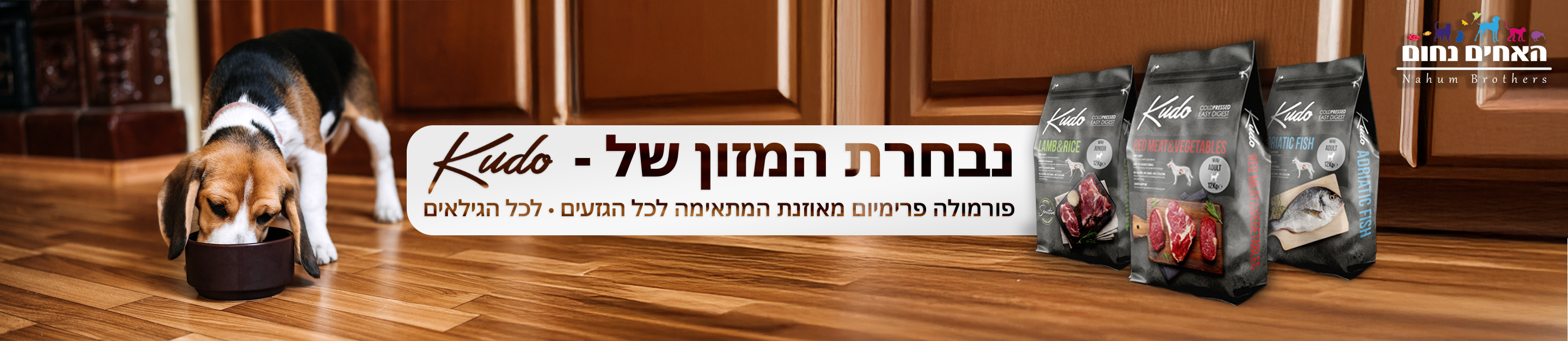 קודו kudo