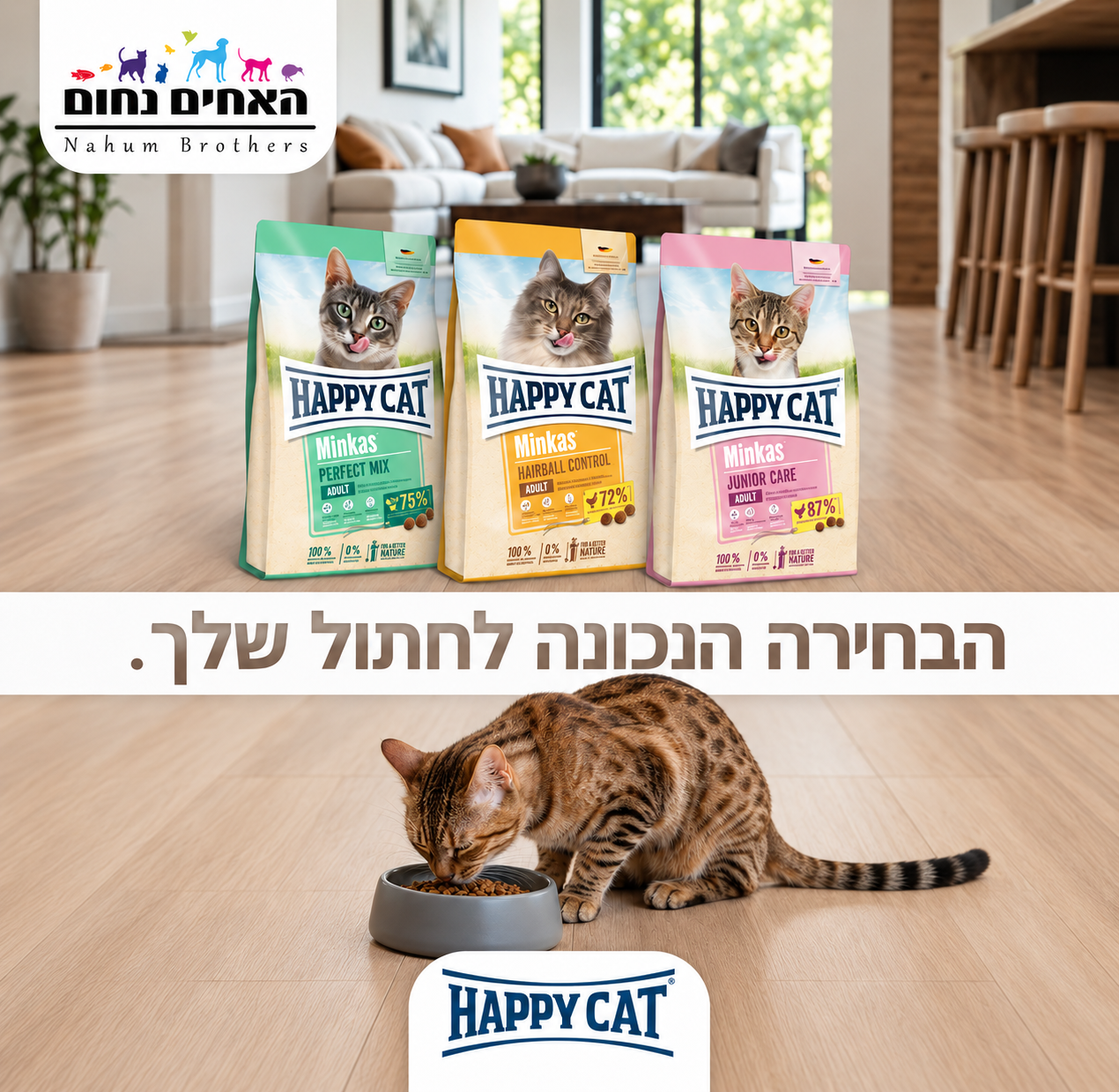 happy cat האפי קאט