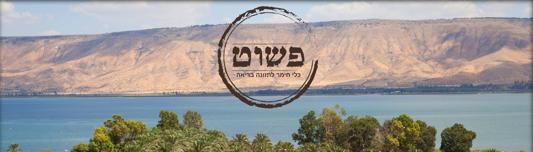 פשוט כנרת