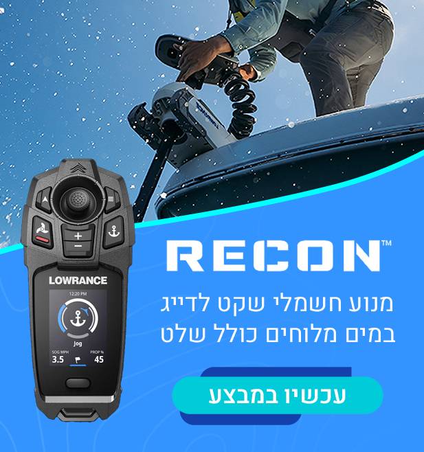 מנוע חשמלי