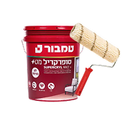 תמונה