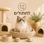 תמונה