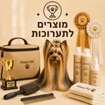 תמונה