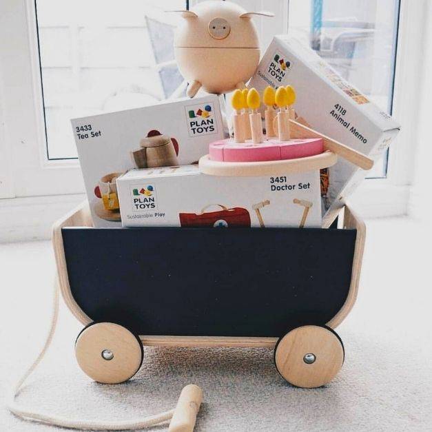 משחקים מעץ בתוך עגלת גרירה של Plan toys מקטגוריית מארזי התפתחות מדויקים לגיל תיבת נח