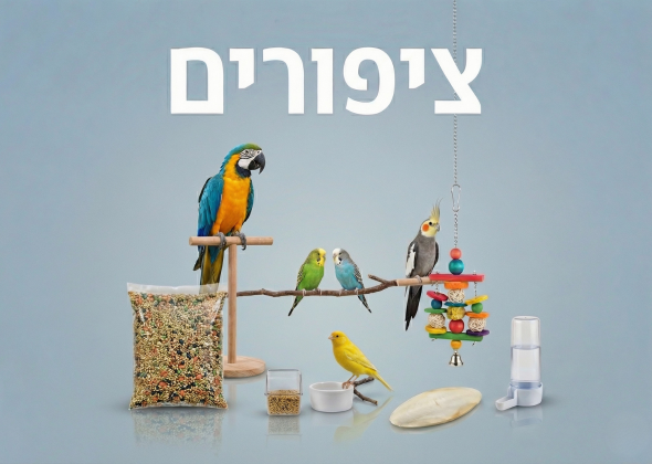 ציפורים