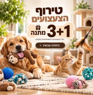 3+1 על הצעצועים