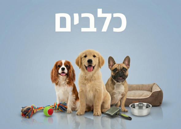 כלבים
