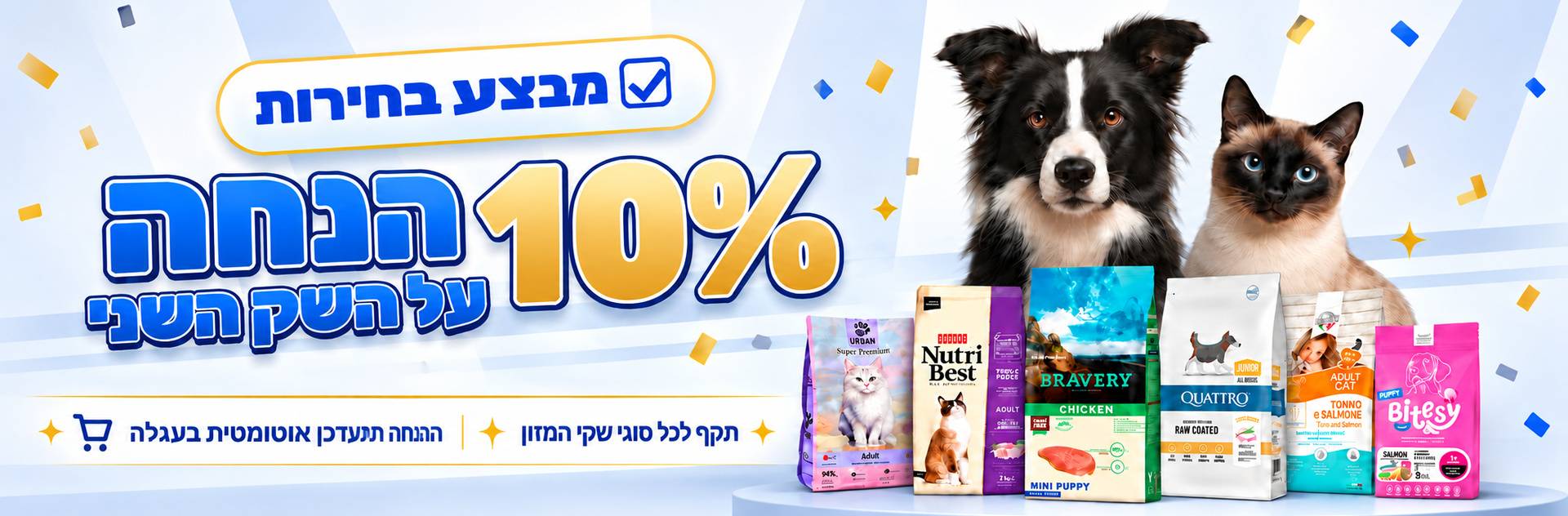 מבצע בחירות 