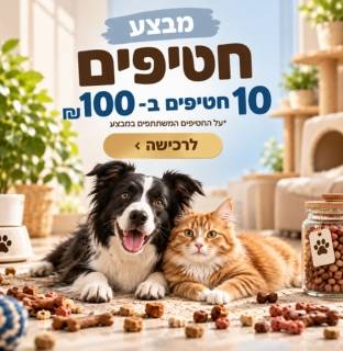 10 ב-100