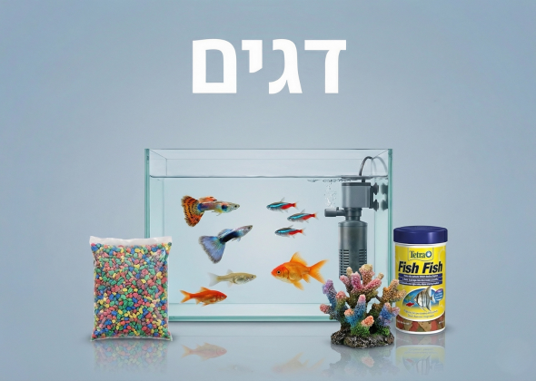 דגים