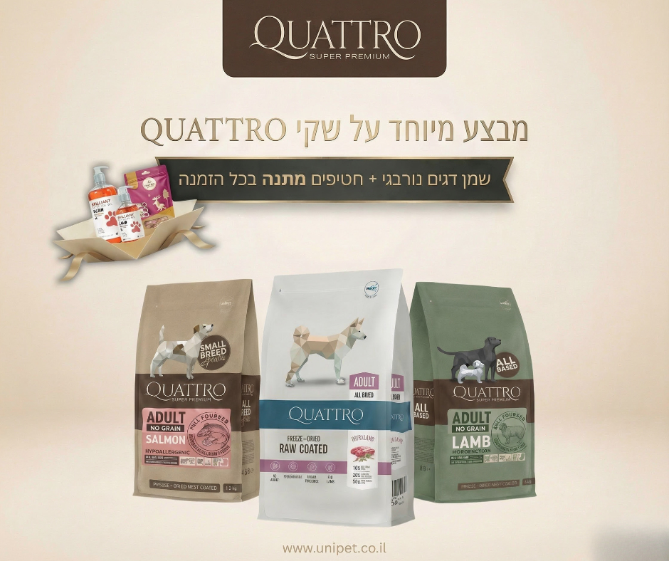 מבצע קוואטרו