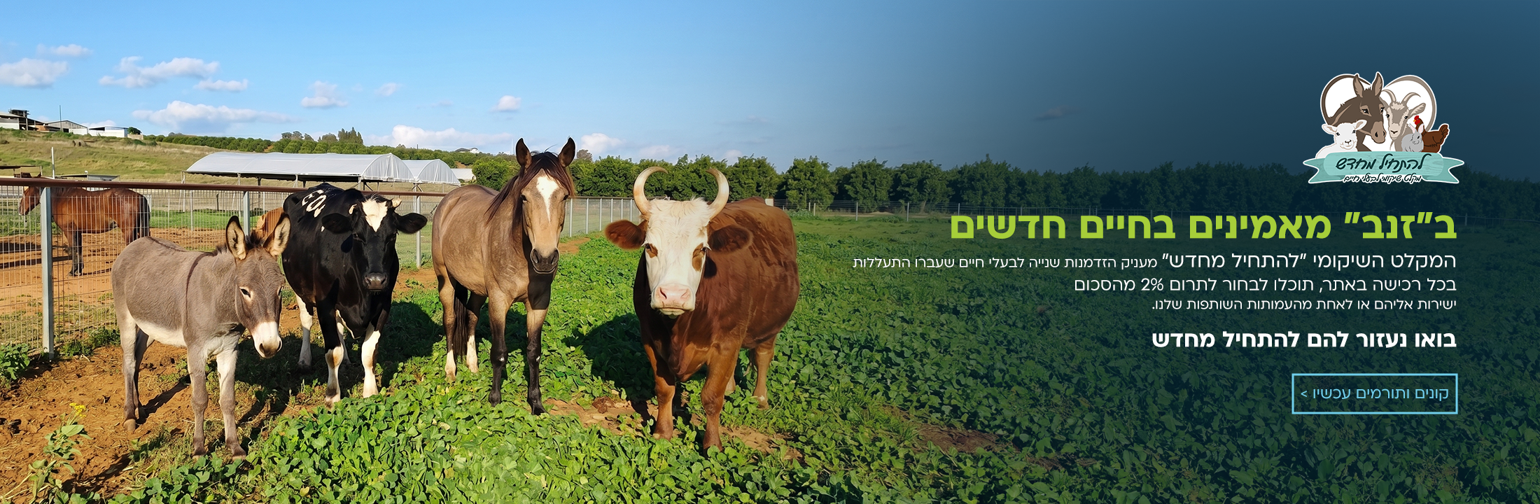 להתחיל מחדש