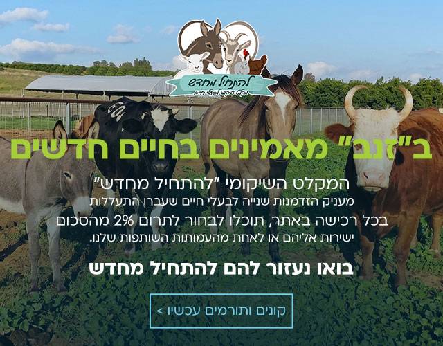 להתחיל מחדש
