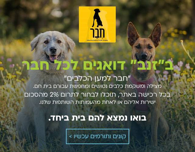 חבר -למען הכלבים