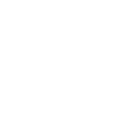 strength_icon