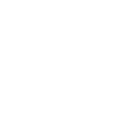 strength_icon