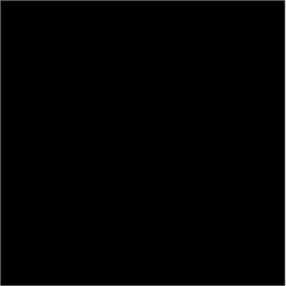 Image/