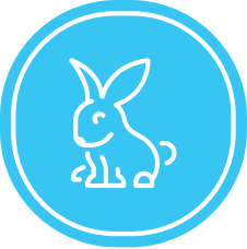 rabitsh