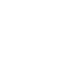 strength_icon