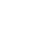 strength_icon