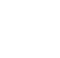 strength_icon