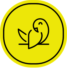 icon_fadeout