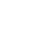 strength_icon