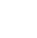 strength_icon