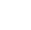 strength_icon