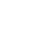 strength_icon