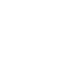 strength_icon