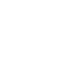 strength_icon