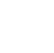 strength_icon