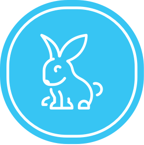 rabitsh