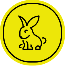 icon_fadeout