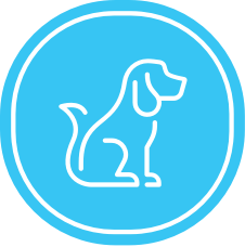 iconhover