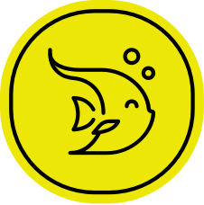 icon_fadeout