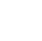 strength_icon