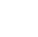 strength_icon