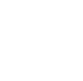 strength_icon